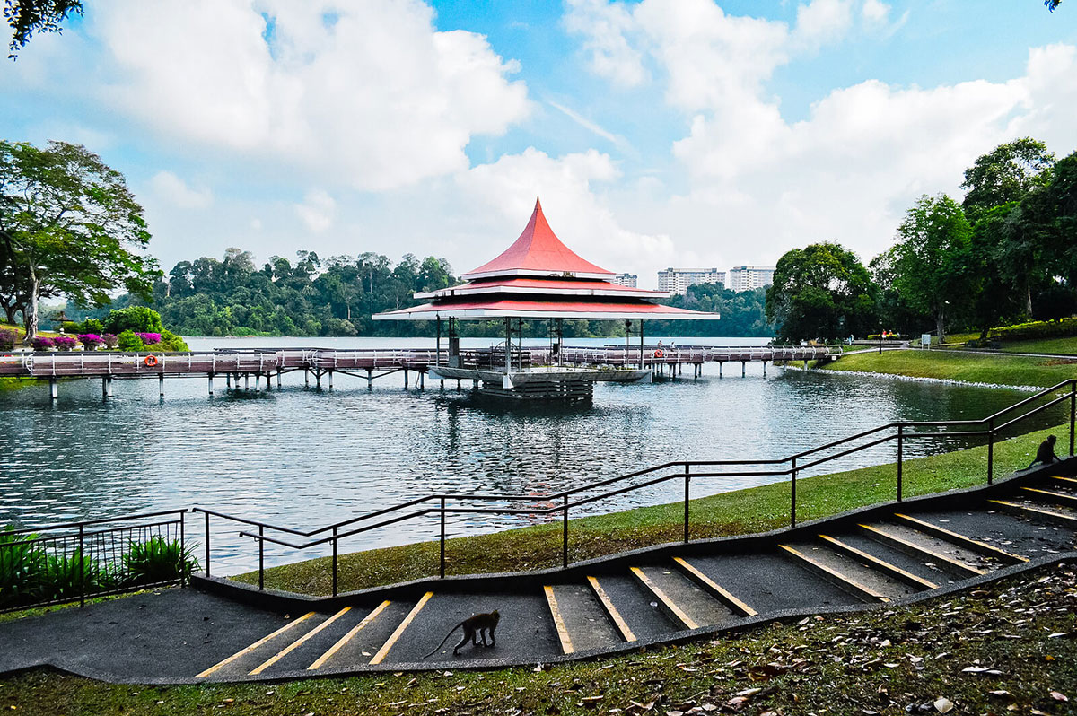 https://mdw-travel-data-us-east-1.s3.amazonaws.com/img/country/Singapore/MacRitchie-Reservoir-Park/img_02.jpg