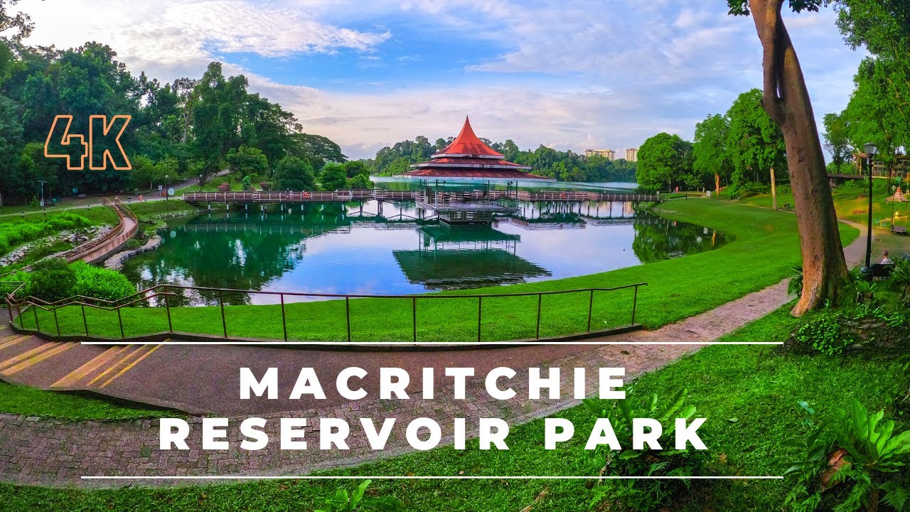 https://mdw-travel-data-us-east-1.s3.amazonaws.com/img/country/Singapore/MacRitchie-Reservoir-Park/img_03.jpg