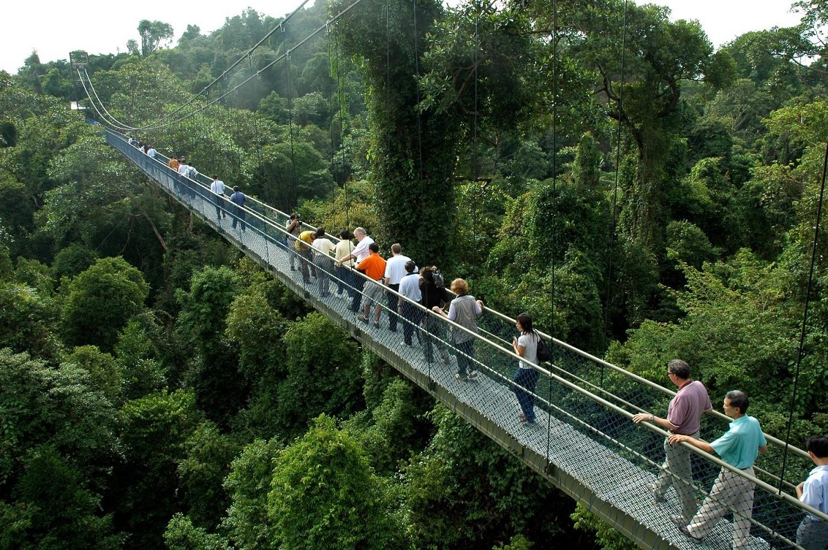 https://mdw-travel-data-us-east-1.s3.amazonaws.com/img/country/Singapore/MacRitchie-Reservoir/img_02.jpg