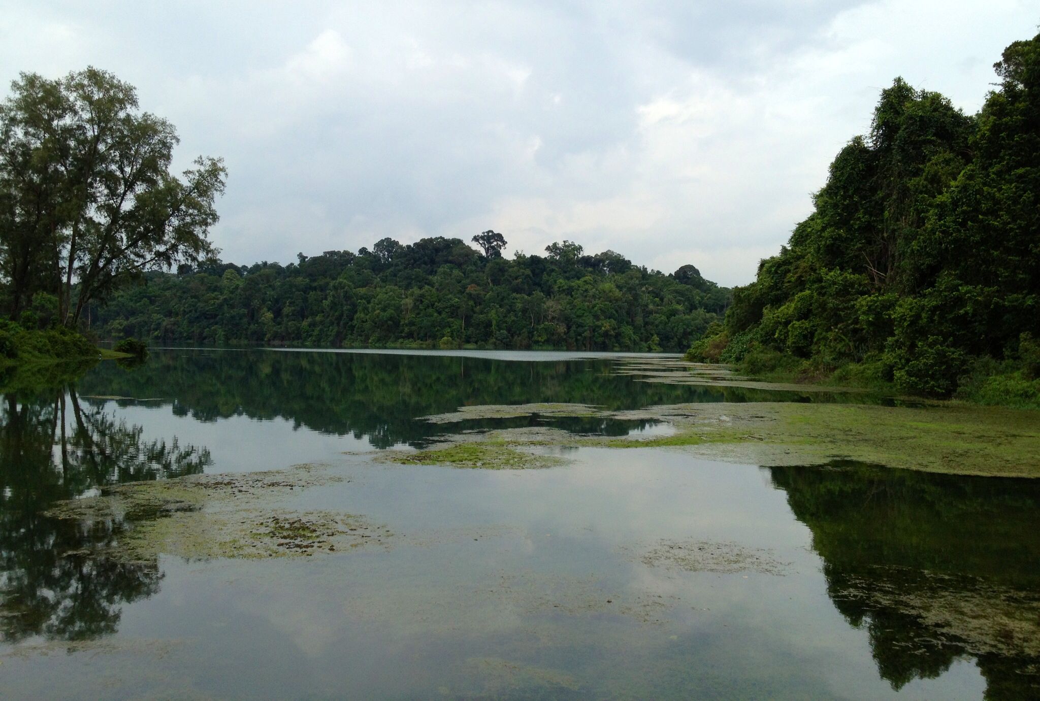 https://mdw-travel-data-us-east-1.s3.amazonaws.com/img/country/Singapore/MacRitchie-Reservoir/img_03.jpg