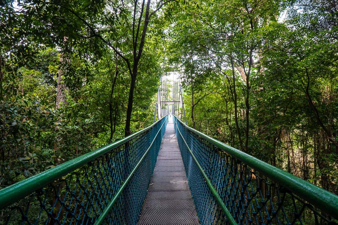 https://mdw-travel-data-us-east-1.s3.amazonaws.com/img/country/Singapore/MacRitchie-Reservoir/img_04.jpg