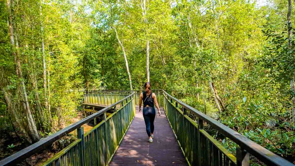 https://mdw-travel-data-us-east-1.s3.amazonaws.com/img/country/Singapore/Mangrove-Boardwalk-at-Sungei-Buloh/img_01.jpg
