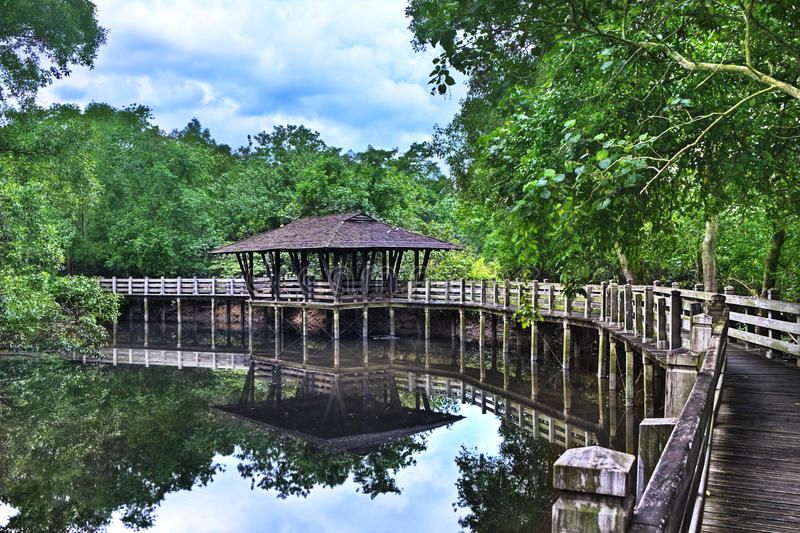 https://mdw-travel-data-us-east-1.s3.amazonaws.com/img/country/Singapore/Mangrove-Boardwalk-at-Sungei-Buloh/img_02.jpg