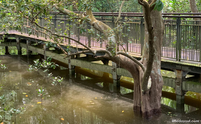 https://mdw-travel-data-us-east-1.s3.amazonaws.com/img/country/Singapore/Mangrove-Boardwalk-at-Sungei-Buloh/img_03.jpg