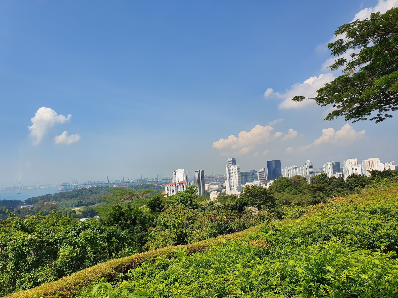 https://mdw-travel-data-us-east-1.s3.amazonaws.com/img/country/Singapore/Mount-Faber-Park/img_01.jpg
