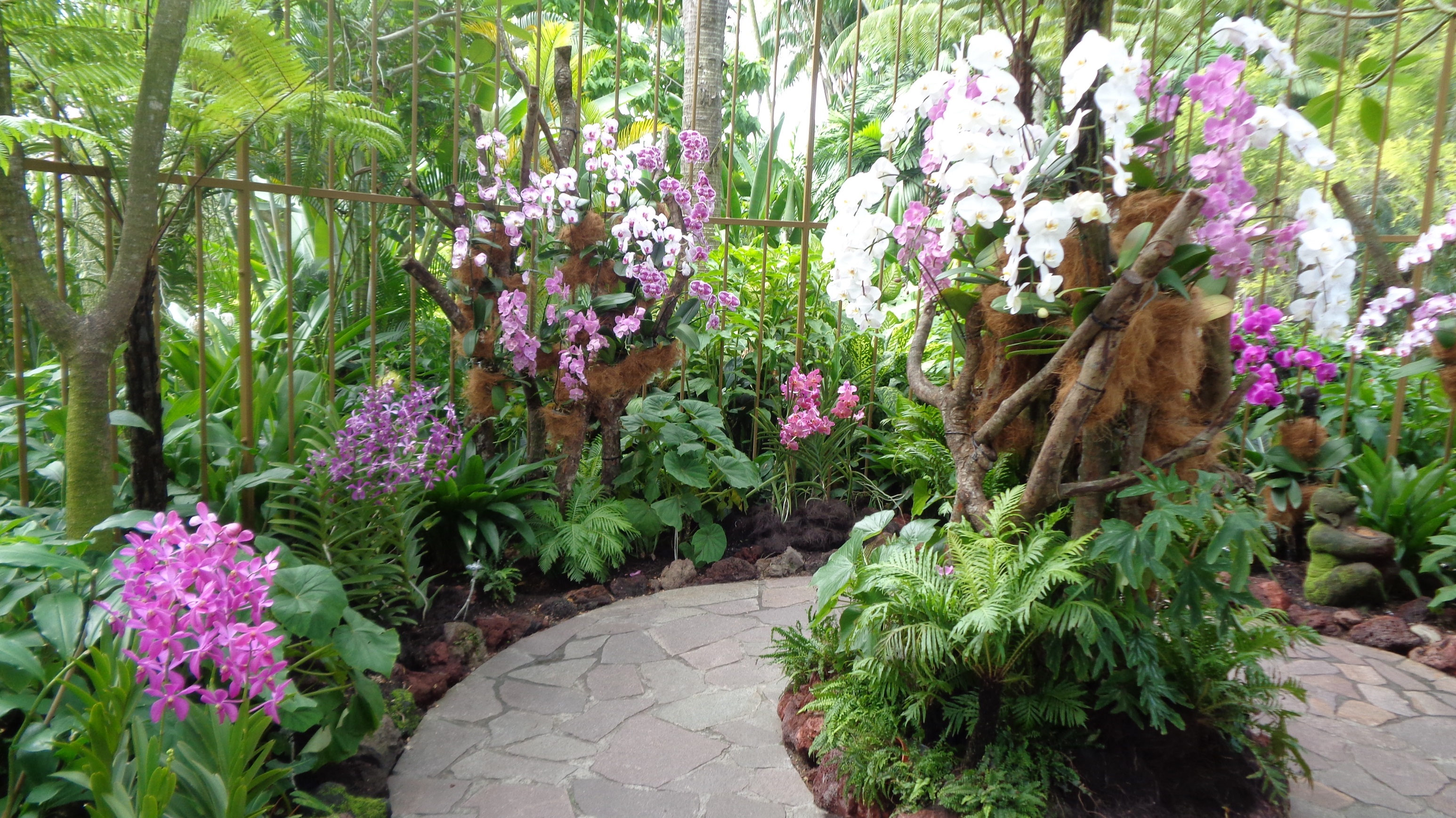 https://mdw-travel-data-us-east-1.s3.amazonaws.com/img/country/Singapore/National-Orchid-Garden/img_02.jpg