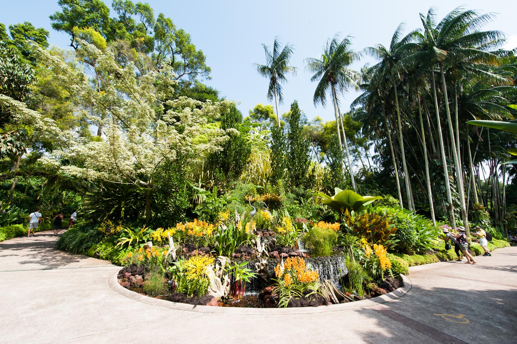 https://mdw-travel-data-us-east-1.s3.amazonaws.com/img/country/Singapore/National-Orchid-Garden/img_03.jpg