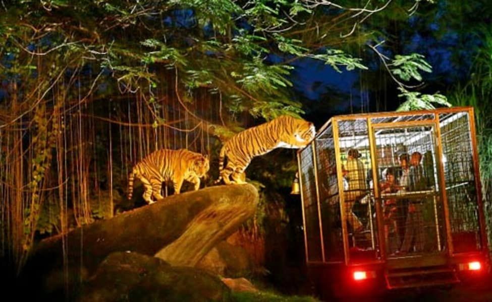 https://mdw-travel-data-us-east-1.s3.amazonaws.com/img/country/Singapore/Night-Safari/img_01.jpg