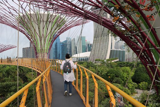 https://mdw-travel-data-us-east-1.s3.amazonaws.com/img/country/Singapore/OCBC-Skyway/img_01.jpg
