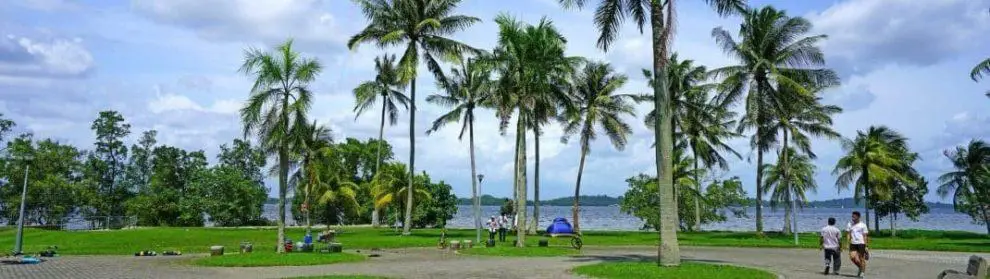 https://mdw-travel-data-us-east-1.s3.amazonaws.com/img/country/Singapore/Pasir-Ris-Park/img_01.jpg