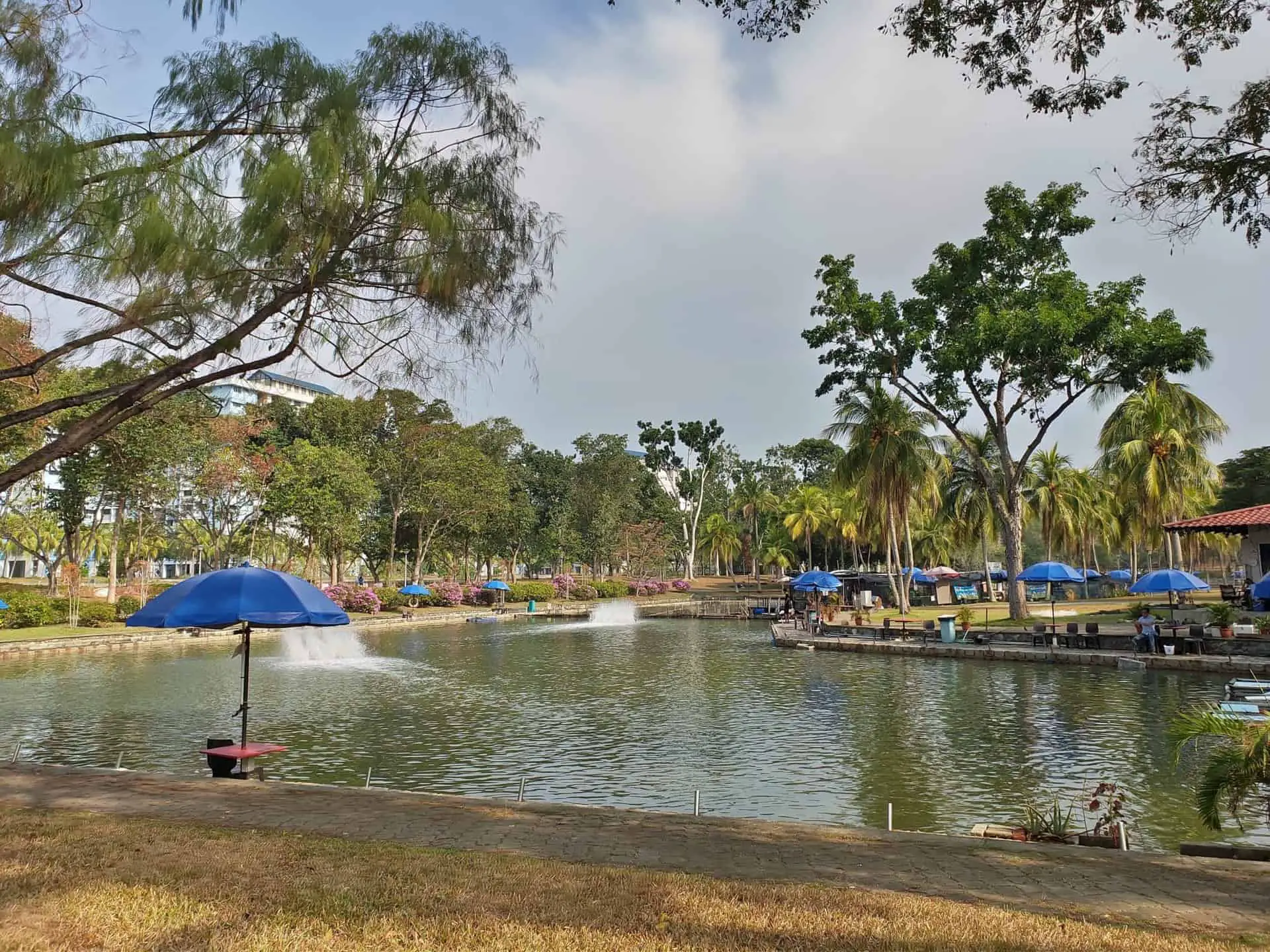 https://mdw-travel-data-us-east-1.s3.amazonaws.com/img/country/Singapore/Pasir-Ris-Park/img_02.jpg