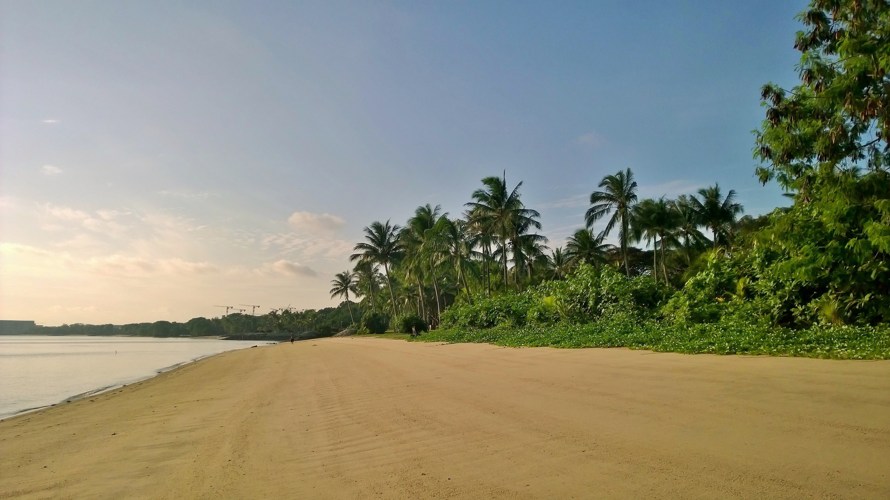 https://mdw-travel-data-us-east-1.s3.amazonaws.com/img/country/Singapore/Pasir-Ris-Park/img_04.jpg