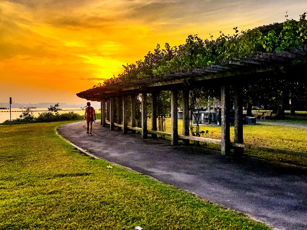 https://mdw-travel-data-us-east-1.s3.amazonaws.com/img/country/Singapore/Pasir-Ris-Town-Park/img_01.jpg