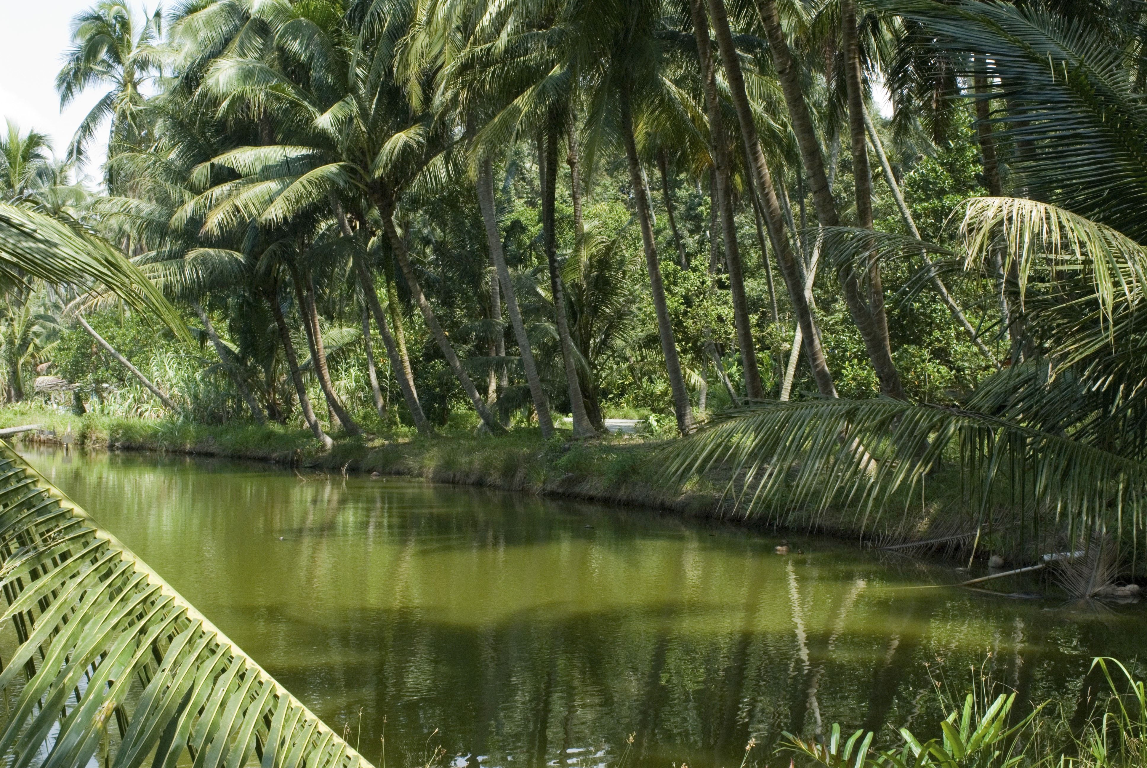 https://mdw-travel-data-us-east-1.s3.amazonaws.com/img/country/Singapore/Pulau-Ubin/img_01.jpg
