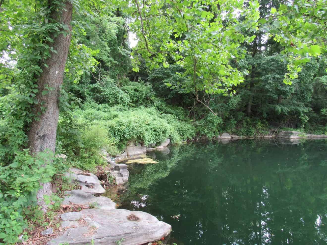 https://mdw-travel-data-us-east-1.s3.amazonaws.com/img/country/Singapore/Quarry-Park/img_03.jpg