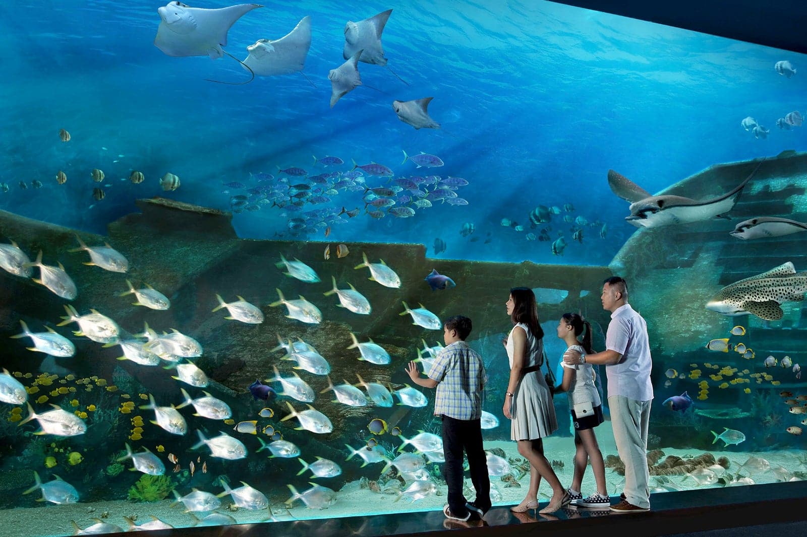 https://mdw-travel-data-us-east-1.s3.amazonaws.com/img/country/Singapore/SEA-Aquarium/img_03.jpg