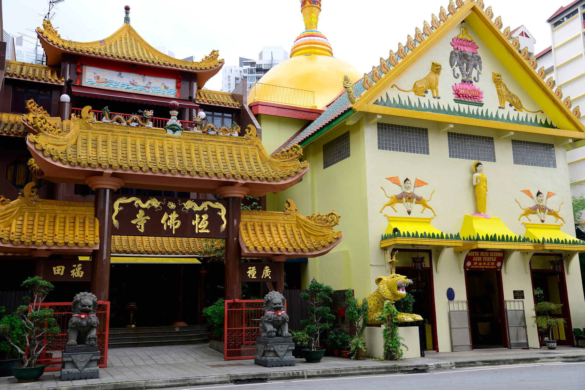 https://mdw-travel-data-us-east-1.s3.amazonaws.com/img/country/Singapore/Sakya-Muni-Buddha-Gaya-Temple/img_00.jpg