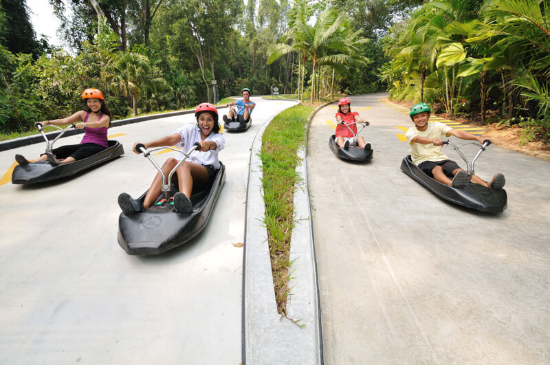 https://mdw-travel-data-us-east-1.s3.amazonaws.com/img/country/Singapore/Sentosa-Luge-and-Skyride/img_01.jpg