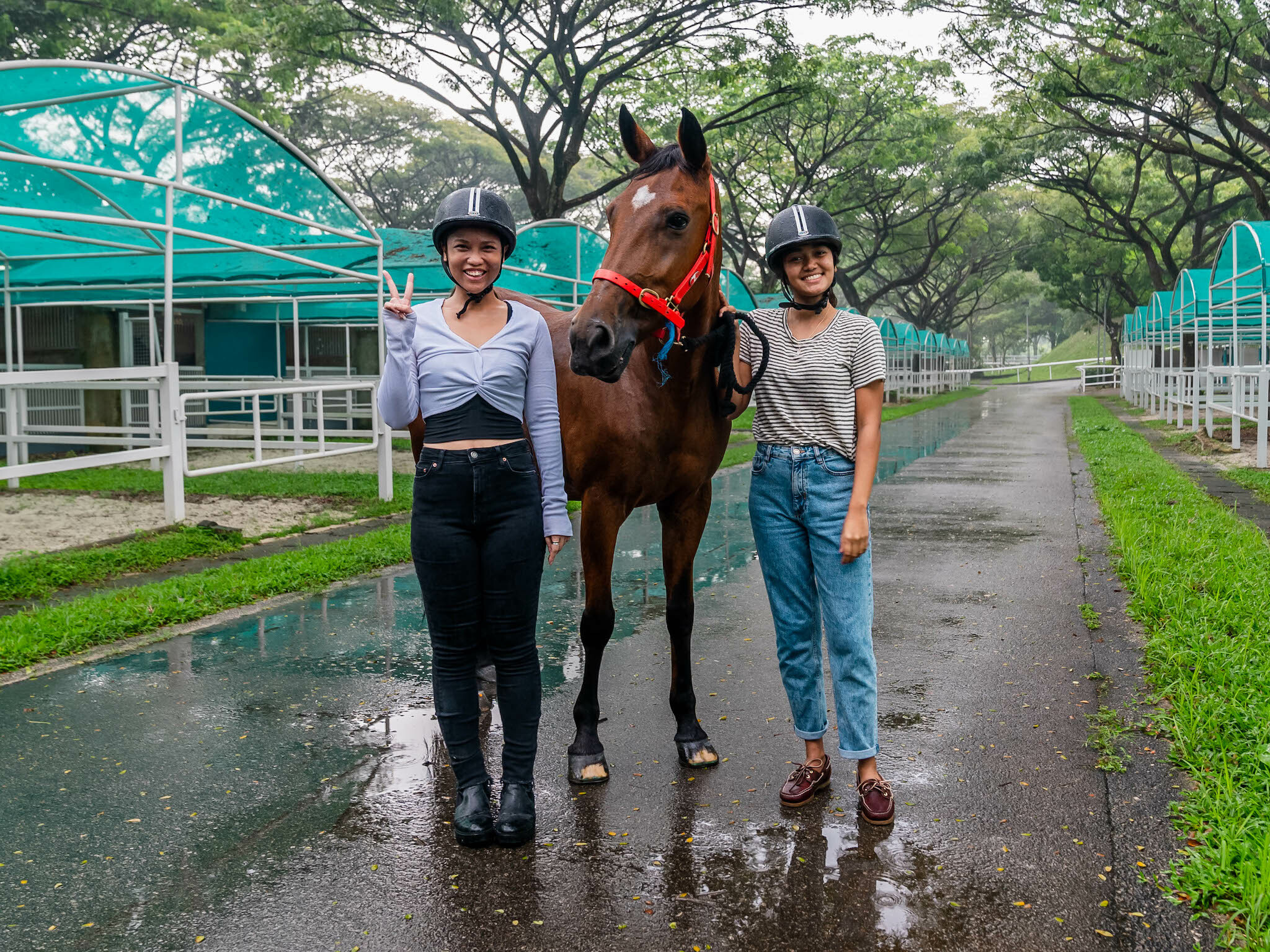 https://mdw-travel-data-us-east-1.s3.amazonaws.com/img/country/Singapore/Singapore-Turf-Club/img_02.jpg