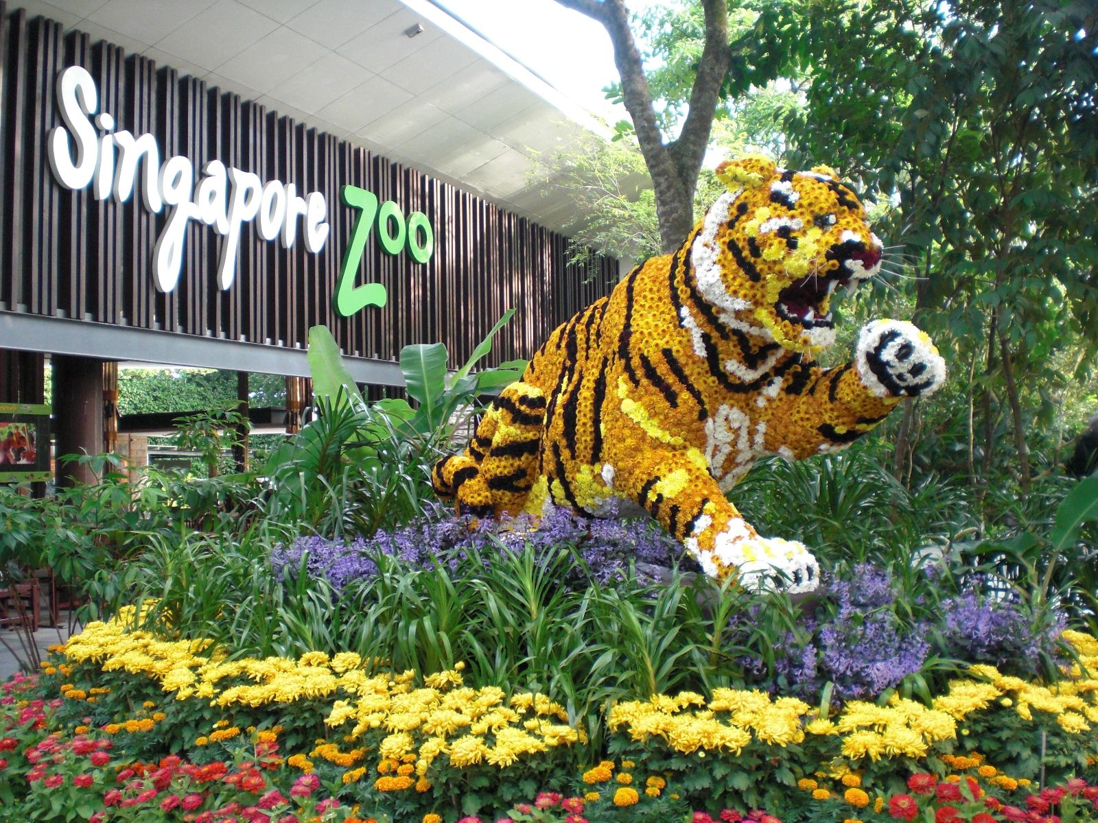 https://mdw-travel-data-us-east-1.s3.amazonaws.com/img/country/Singapore/Singapore-Zoo/img_02.jpg