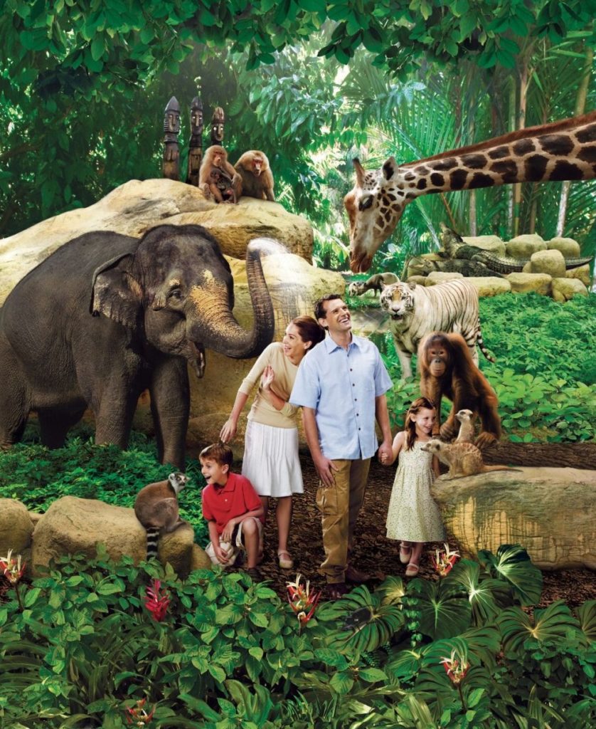 https://mdw-travel-data-us-east-1.s3.amazonaws.com/img/country/Singapore/Singapore-Zoo/img_03.jpg
