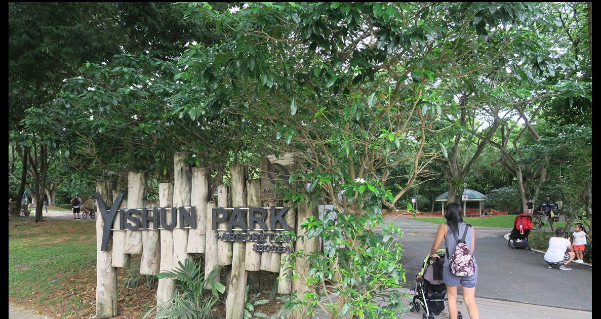 https://mdw-travel-data-us-east-1.s3.amazonaws.com/img/country/Singapore/Skateline-@-Yishun-Pond/img_00.jpg