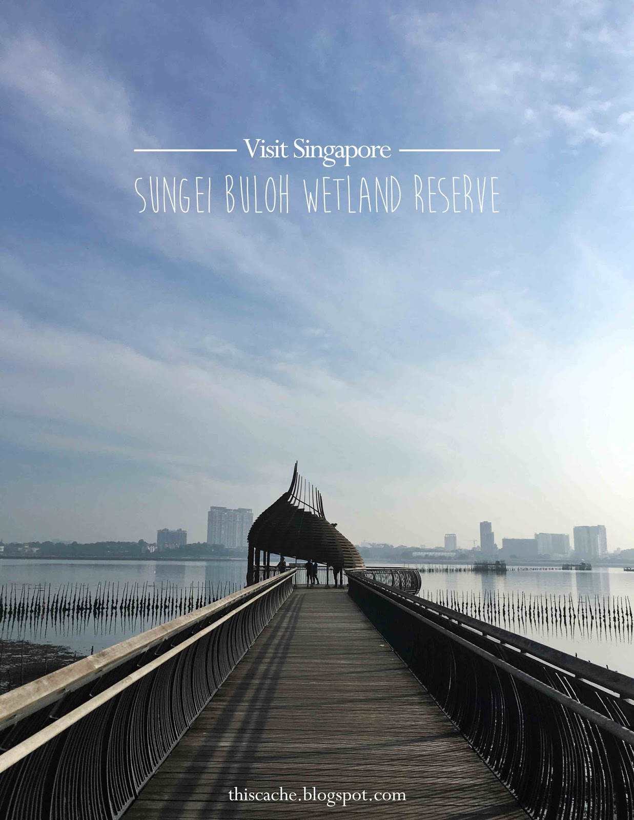 https://mdw-travel-data-us-east-1.s3.amazonaws.com/img/country/Singapore/Sungei-Buloh-Wetland-Reserve/img_03.jpg
