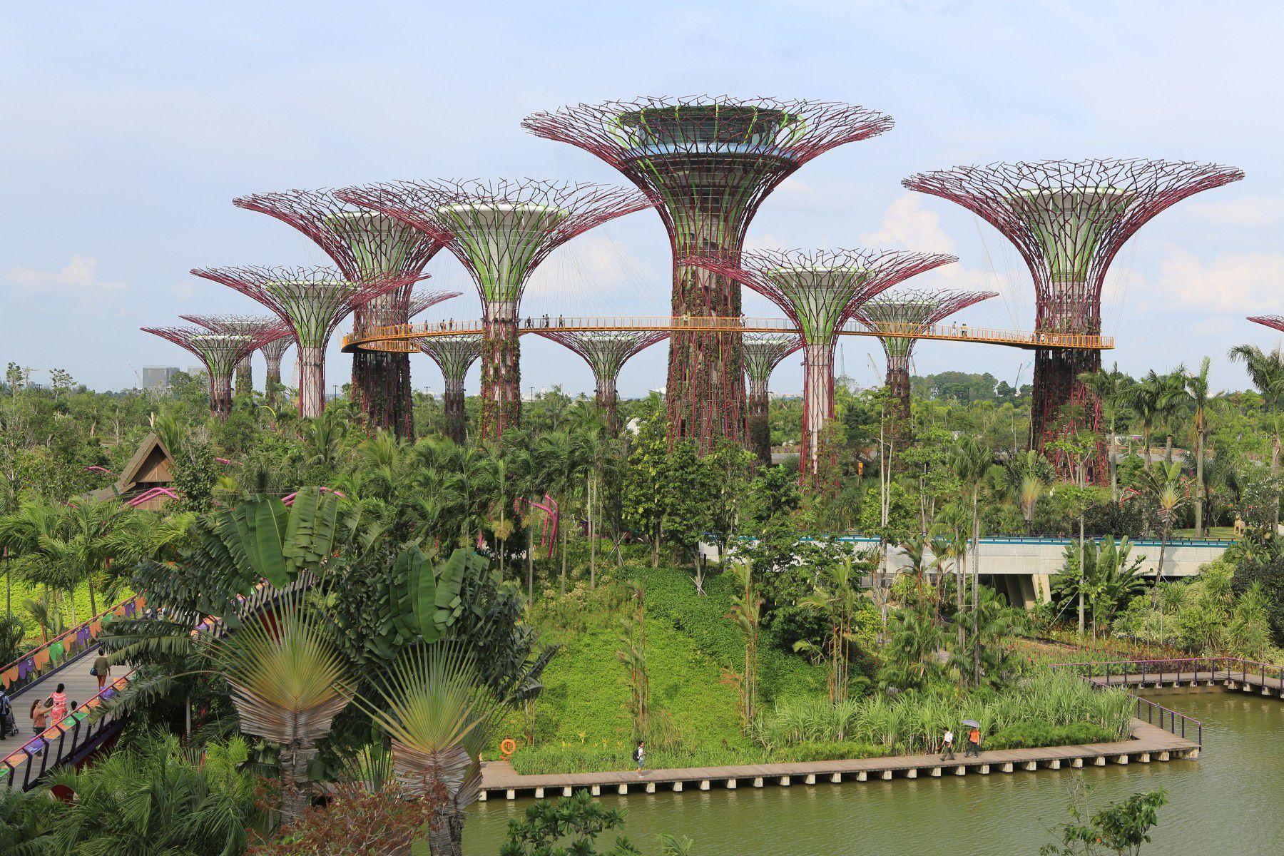 https://mdw-travel-data-us-east-1.s3.amazonaws.com/img/country/Singapore/Supertree-Grove/img_00.jpg