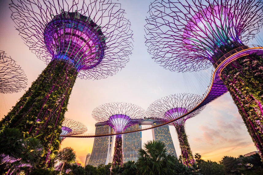 https://mdw-travel-data-us-east-1.s3.amazonaws.com/img/country/Singapore/Supertree-Grove/img_03.jpg