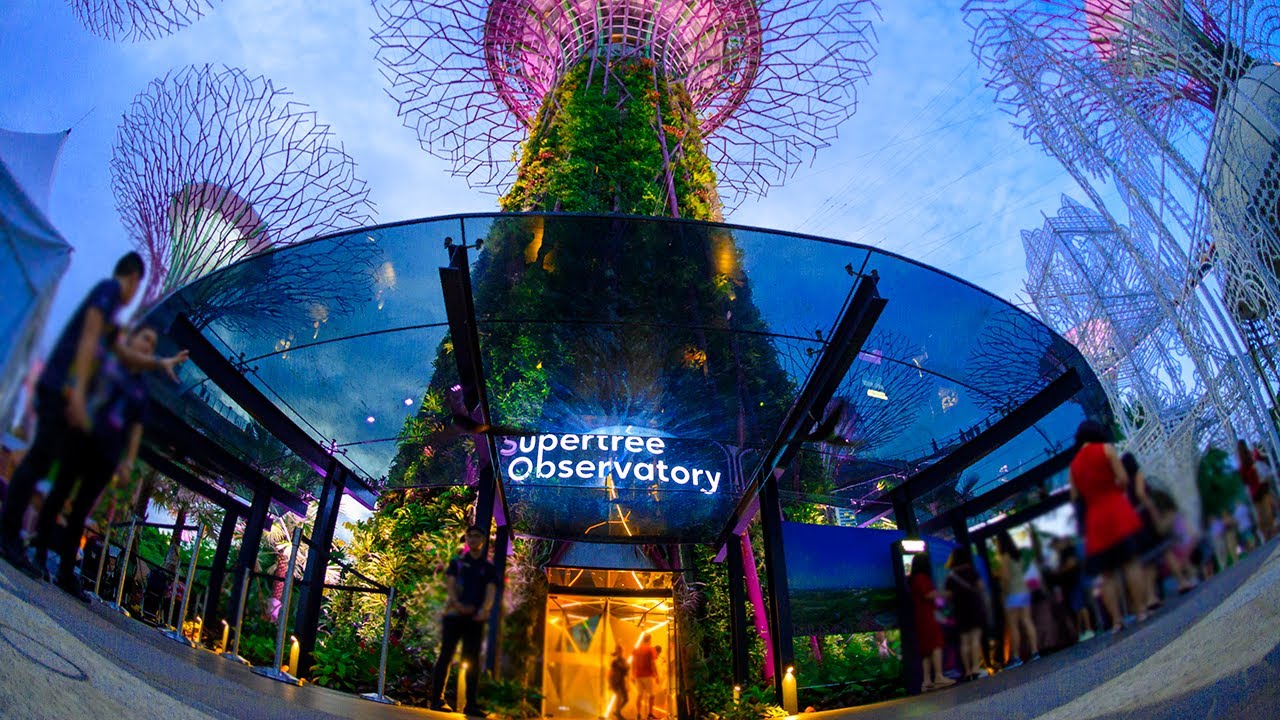 https://mdw-travel-data-us-east-1.s3.amazonaws.com/img/country/Singapore/Supertree-Observatory/img_02.jpg