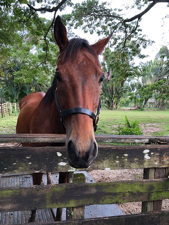 https://mdw-travel-data-us-east-1.s3.amazonaws.com/img/country/Singapore/The-Animal-Resort/img_02.jpg