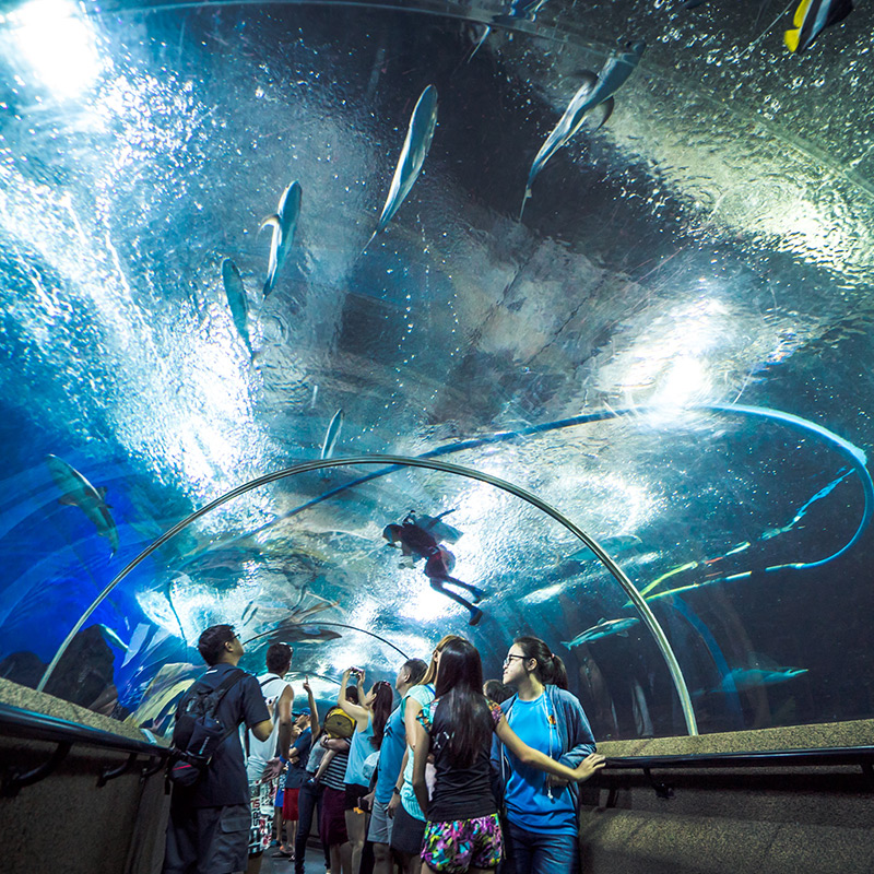 https://mdw-travel-data-us-east-1.s3.amazonaws.com/img/country/Singapore/Underwater-World-Singapore/img_02.jpg