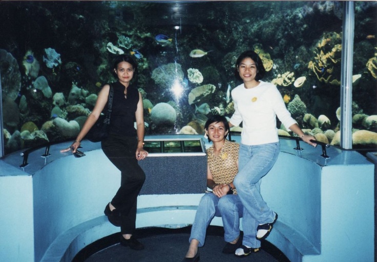 https://mdw-travel-data-us-east-1.s3.amazonaws.com/img/country/Singapore/Underwater-World-Singapore/img_03.jpg