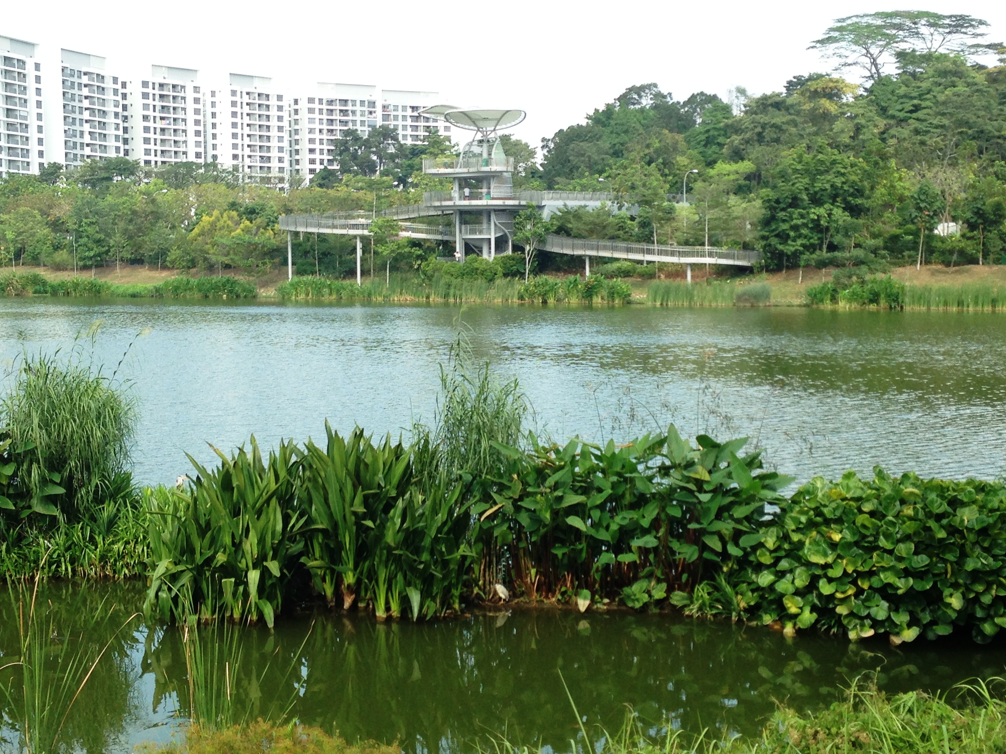https://mdw-travel-data-us-east-1.s3.amazonaws.com/img/country/Singapore/Yishun-Park/img_01.jpg