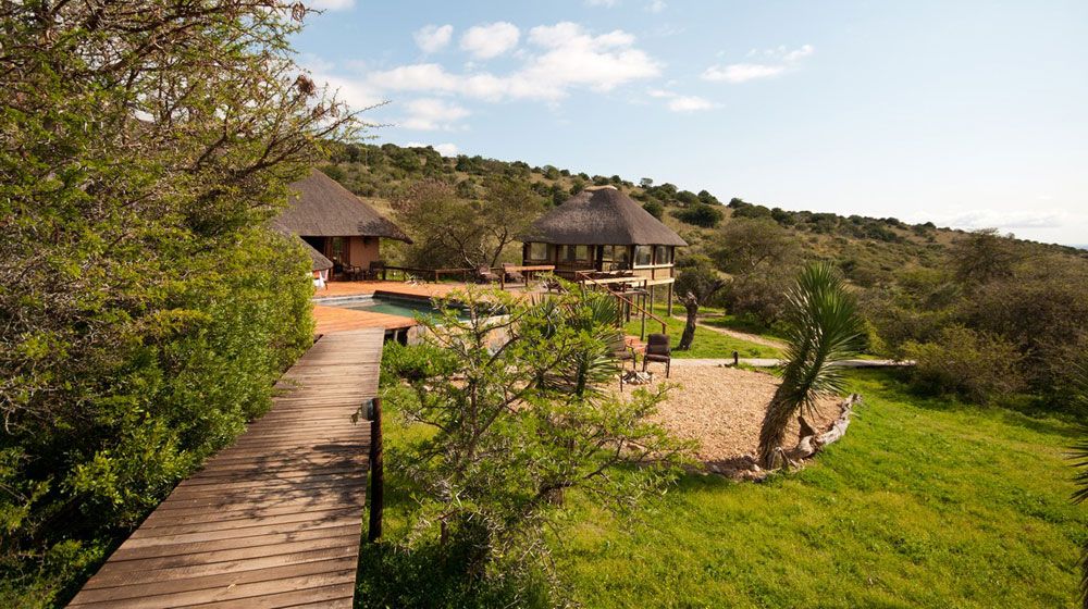 https://mdw-travel-data-us-east-1.s3.amazonaws.com/img/country/South-Africa/Amakhala-Game-Reserve/img_02.jpg