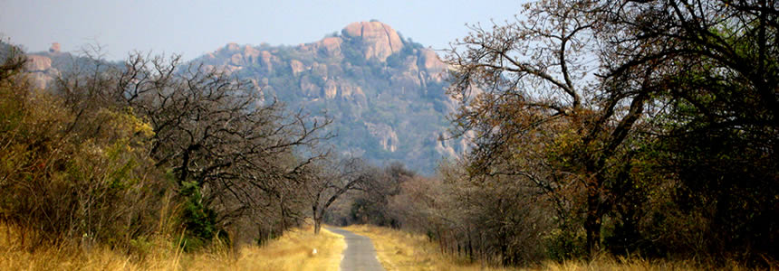 https://mdw-travel-data-us-east-1.s3.amazonaws.com/img/country/South-Africa/Amalinda-Nature-Reserve/img_02.jpg