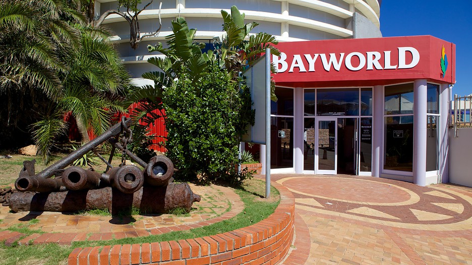 https://mdw-travel-data-us-east-1.s3.amazonaws.com/img/country/South-Africa/Bayworld/img_03.jpg