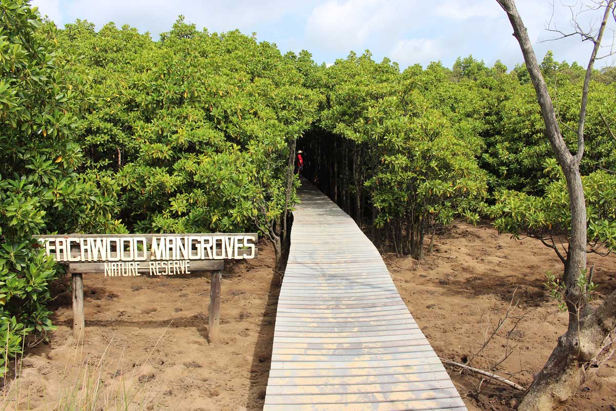 https://mdw-travel-data-us-east-1.s3.amazonaws.com/img/country/South-Africa/Beachwood-Mangroves-Nature-Reserve/img_02.jpg