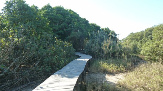 https://mdw-travel-data-us-east-1.s3.amazonaws.com/img/country/South-Africa/Beachwood-Mangroves-Nature-Reserve/img_03.jpg