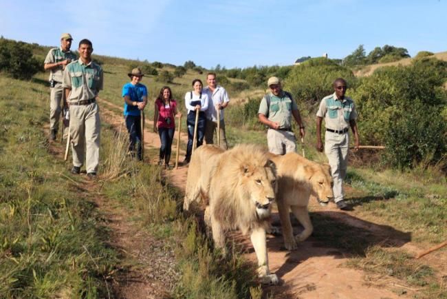 https://mdw-travel-data-us-east-1.s3.amazonaws.com/img/country/South-Africa/Botlierskop-Day-Safaris/img_01.jpg