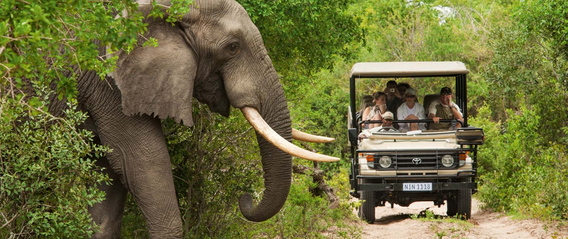 https://mdw-travel-data-us-east-1.s3.amazonaws.com/img/country/South-Africa/Botlierskop-Day-Safaris/img_02.jpg