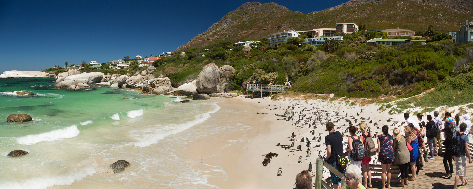 https://mdw-travel-data-us-east-1.s3.amazonaws.com/img/country/South-Africa/Boulders-Beach/img_01.jpg