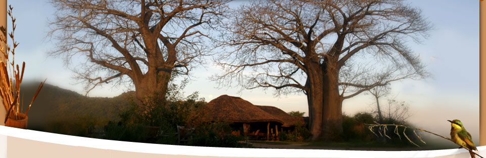 https://mdw-travel-data-us-east-1.s3.amazonaws.com/img/country/South-Africa/Bushmans-Baobabs/img_01.jpg
