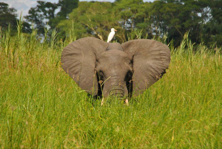https://mdw-travel-data-us-east-1.s3.amazonaws.com/img/country/South-Africa/Bushmans-Baobabs/img_02.jpg