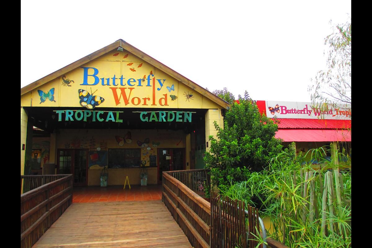https://mdw-travel-data-us-east-1.s3.amazonaws.com/img/country/South-Africa/Butterfly-World/img_00.jpg