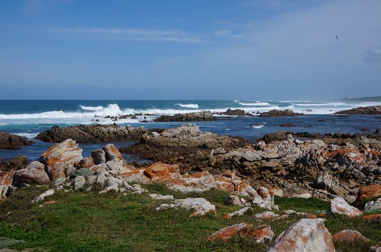 https://mdw-travel-data-us-east-1.s3.amazonaws.com/img/country/South-Africa/Cape-Recife-Nature-Reserve/img_03.jpg