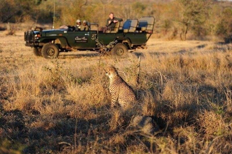 https://mdw-travel-data-us-east-1.s3.amazonaws.com/img/country/South-Africa/Cheetah-Experience/img_01.jpg