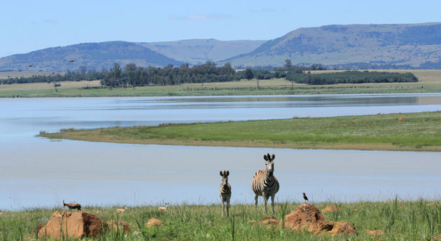 https://mdw-travel-data-us-east-1.s3.amazonaws.com/img/country/South-Africa/Chelmsford-Nature-Reserve/img_00.jpg