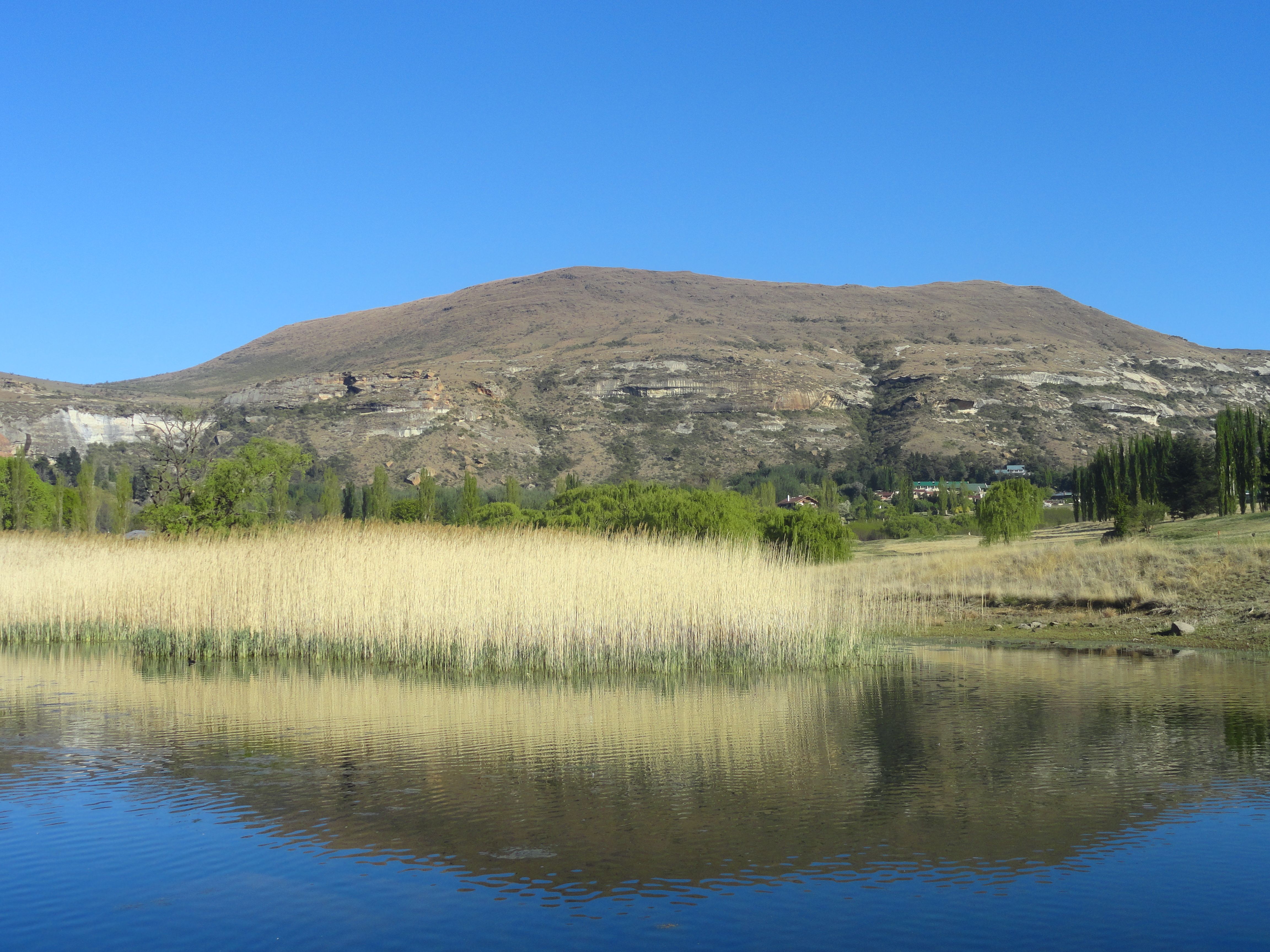 https://mdw-travel-data-us-east-1.s3.amazonaws.com/img/country/South-Africa/Clarens-Village-Conservancy/img_02.jpg