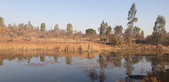 https://mdw-travel-data-us-east-1.s3.amazonaws.com/img/country/South-Africa/Cullinan-Heritage-Route/img_00.jpg